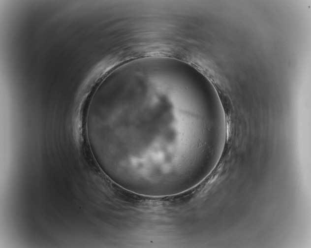 X0000096660339200802121135