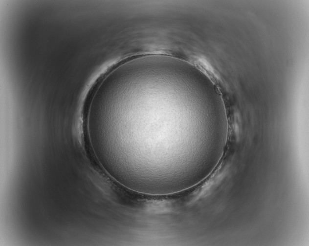 X0000096660342200802121135