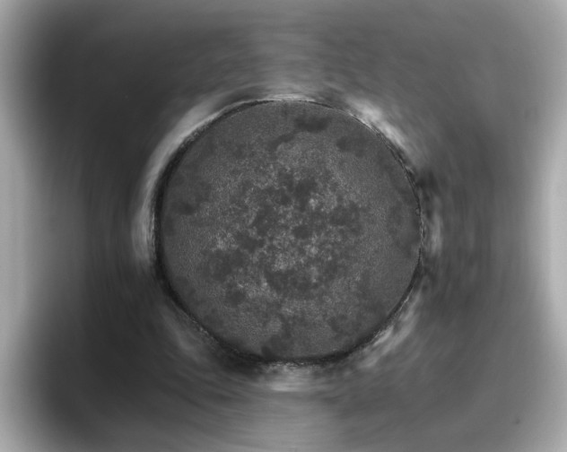 X0000096660343200802121135