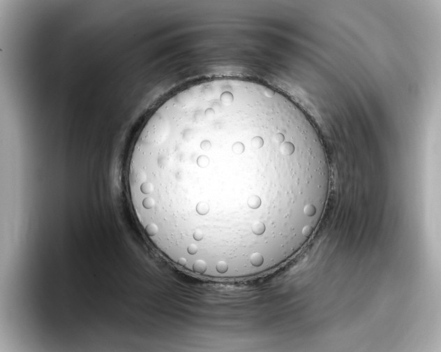 X0000096660347200802121135