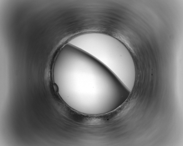 X0000096660348200802121135