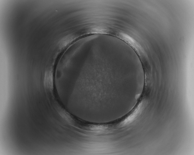 X0000096660349200802121135