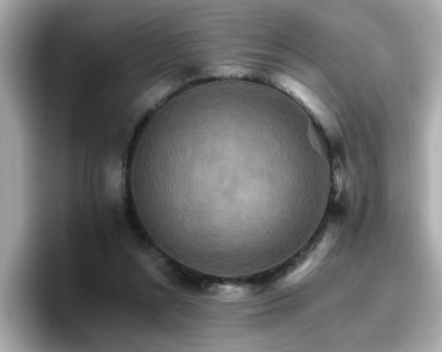 X0000096660352200802121135