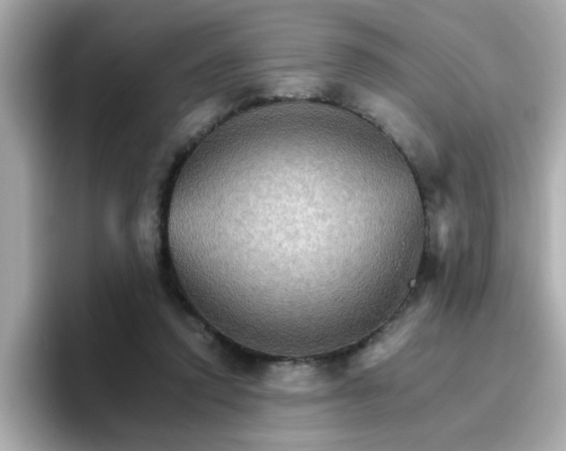 X0000096660354200802121135