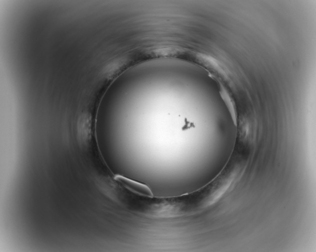 X0000096660356200802121135