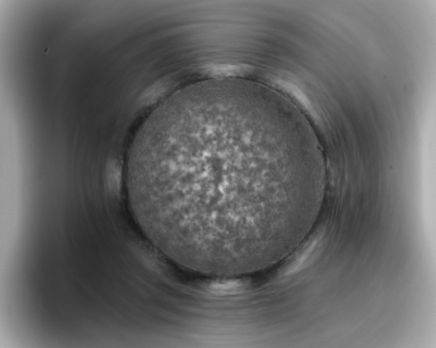 X0000096660357200802121135