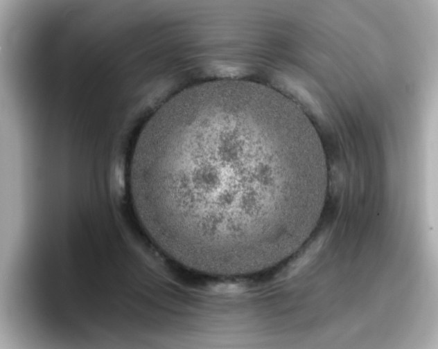 X0000096660358200802121135