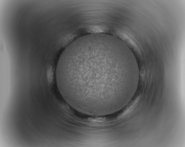 X0000096660359200802121135