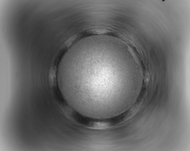 X0000096660360200802121135