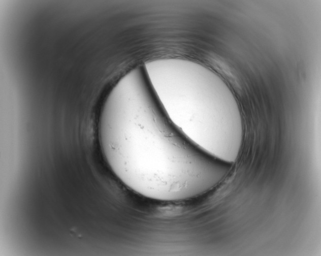 X0000096660362200802121135