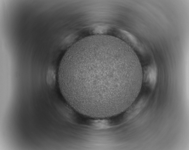 X0000096660363200802121135