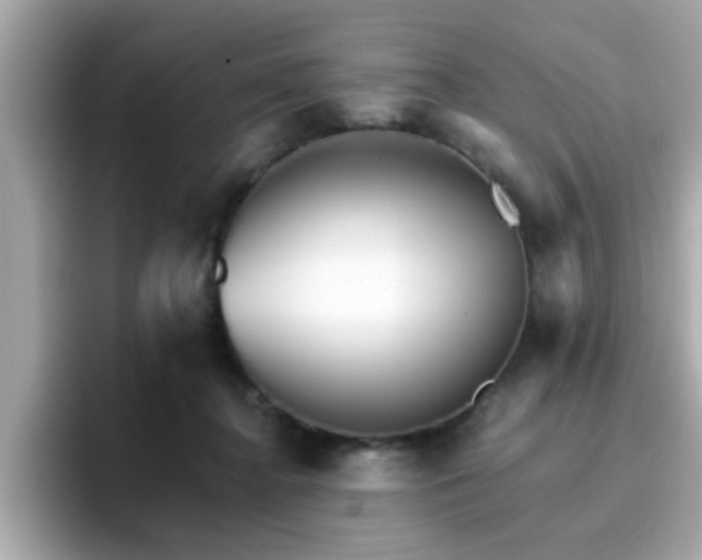 X0000096660364200802121135