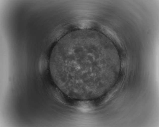 X0000096660367200802121135