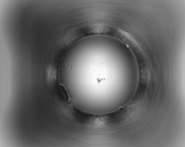 X0000096660368200802121135