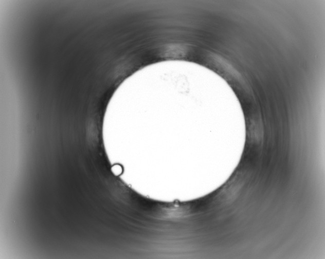 X0000096660370200802121135