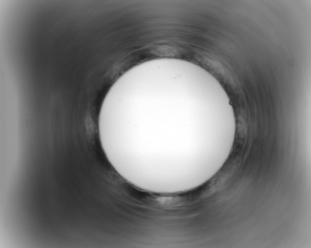 X0000096660371200802121135