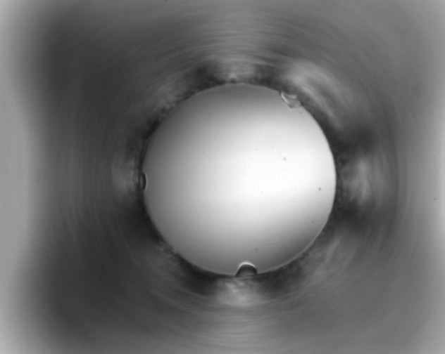 X0000096660372200802121135