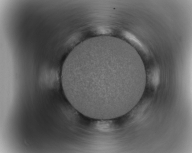 X0000096660373200802121135