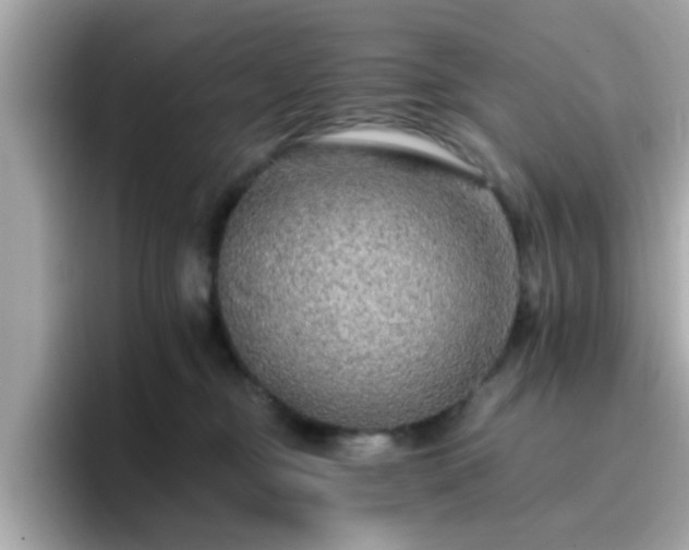 X0000096660374200802121135