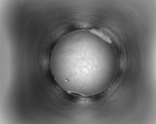 X0000096660376200802121135