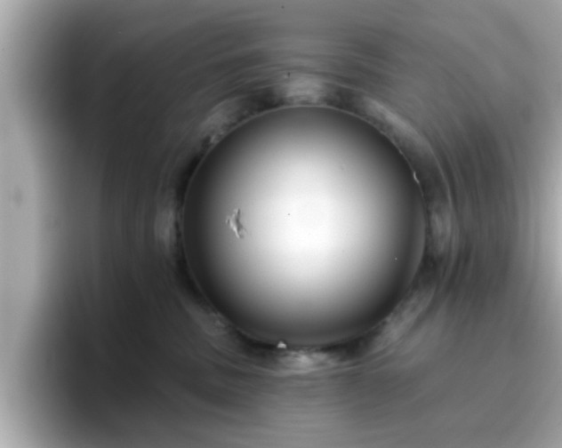 X0000096660379200802121136