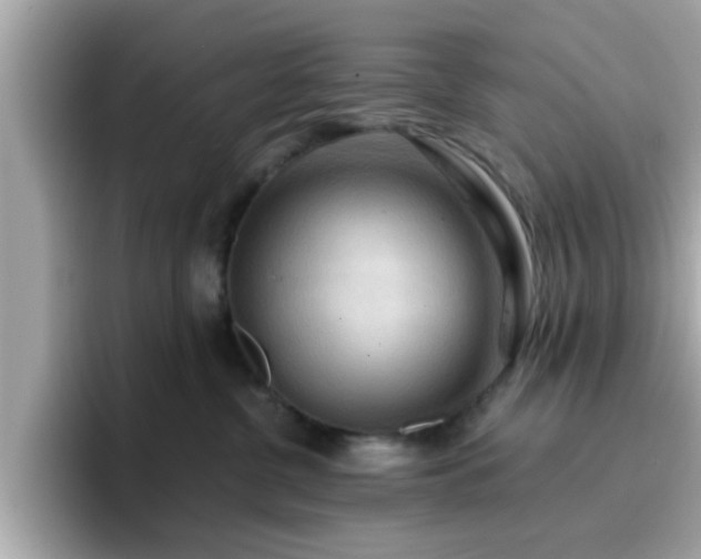 X0000096660380200802121136