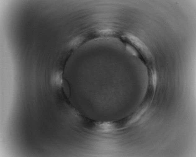 X0000096660383200802121136