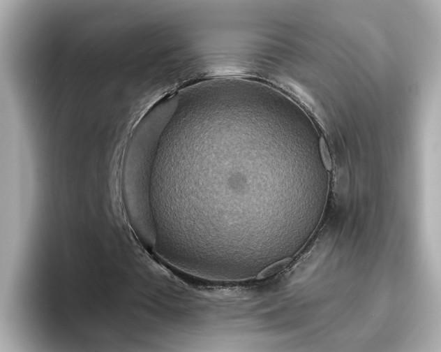 X0000096660385200802121135