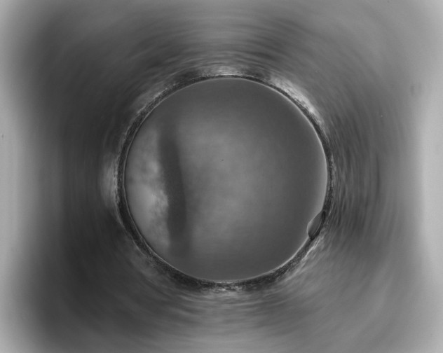 X0000096660386200802121135