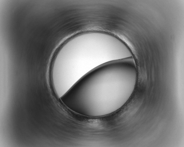 X0000096660391200802121135