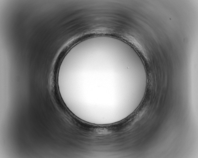 X0000096660392200802121135