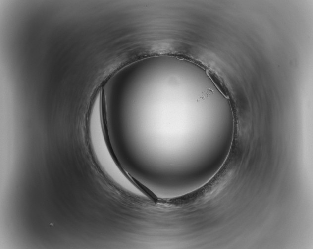 X0000096660393200802121135