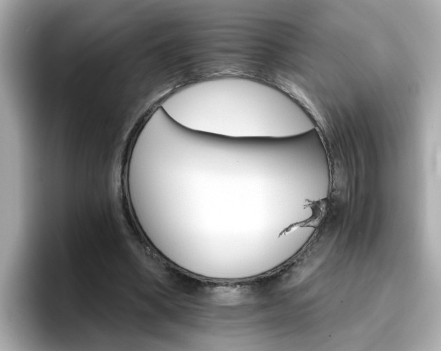 X0000096660394200802121135