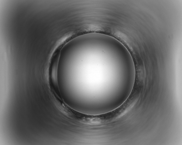 X0000096660395200802121135