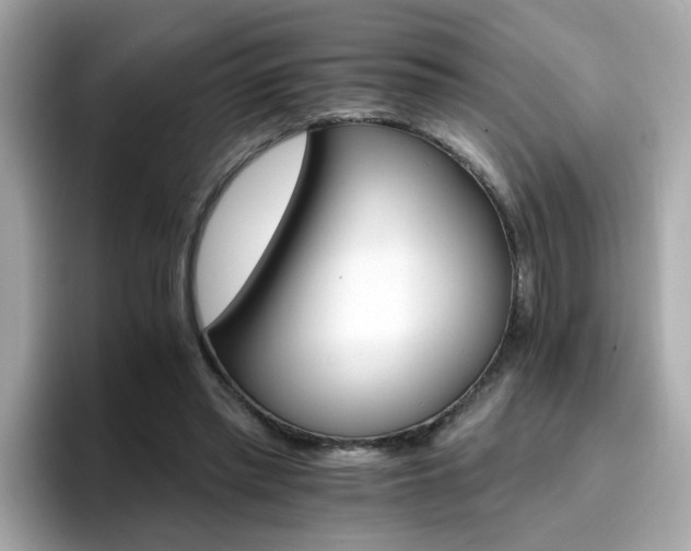 X0000096660397200802121135