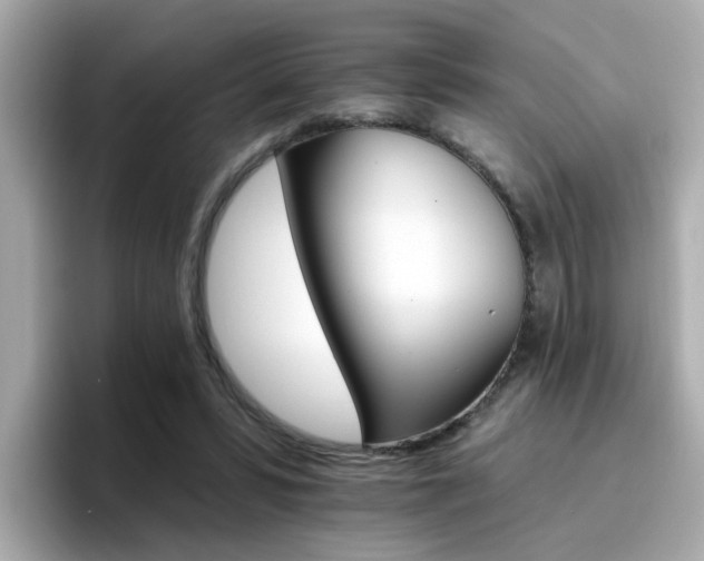 X0000096660399200802121135