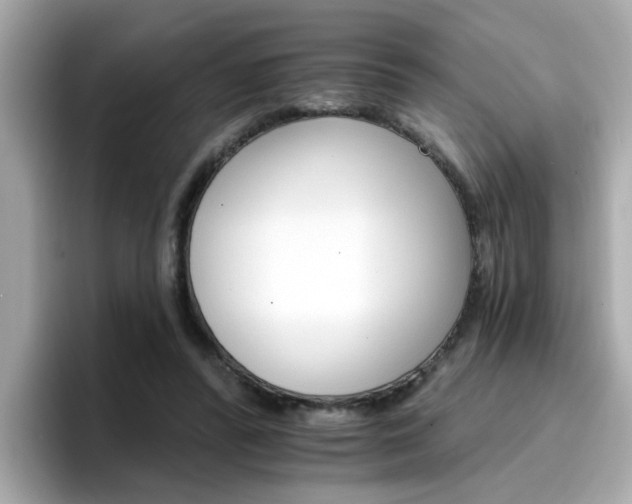 X0000096660400200802121135