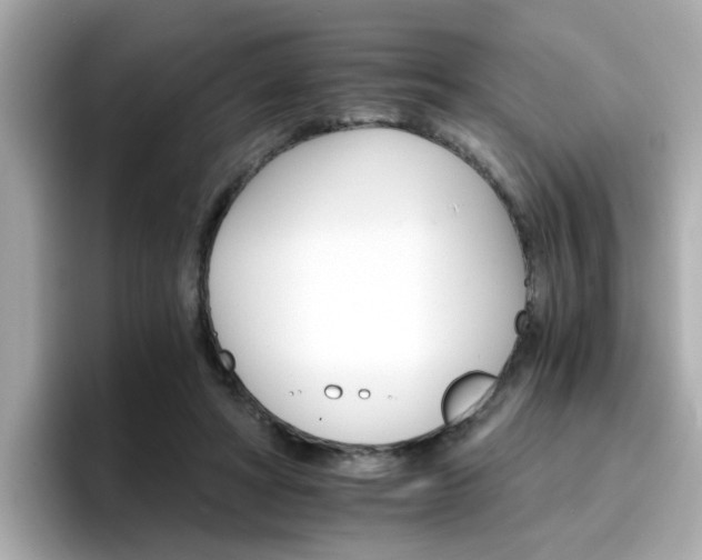 X0000096660402200802121135