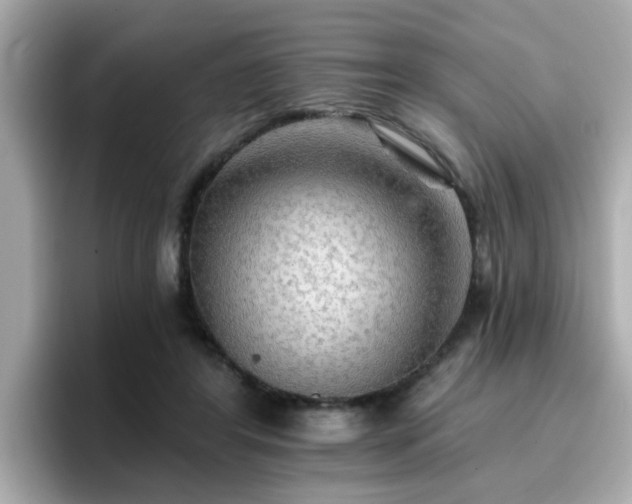 X0000096660404200802121135