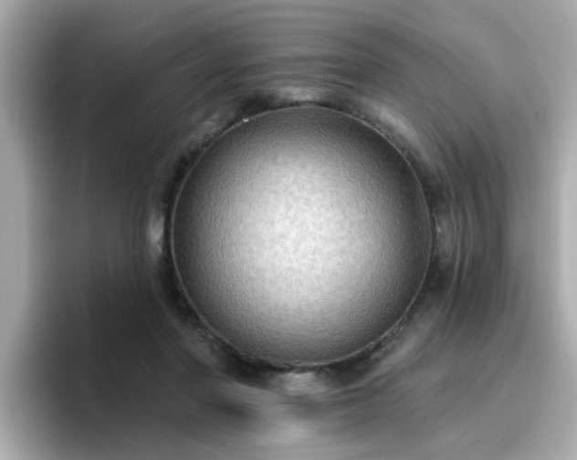 X0000096660406200802121135