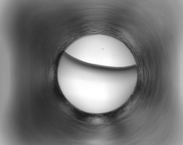 X0000096660412200802121135