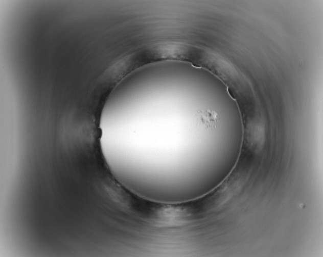 X0000096660413200802121135