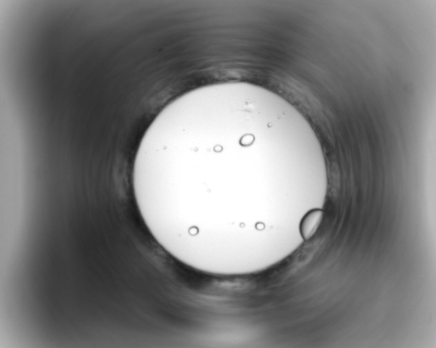 X0000096660414200802121135