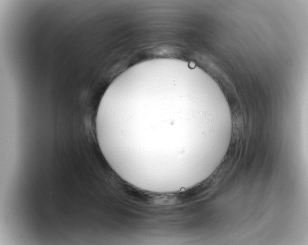 X0000096660415200802121135