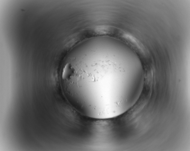 X0000096660418200802121135