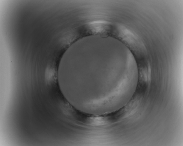 X0000096660419200802121135