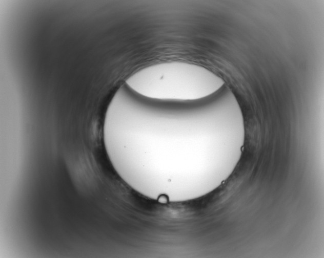 X0000096660420200802121134