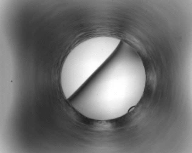 X0000096660421200802121134