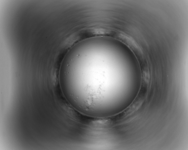 X0000096660422200802121134