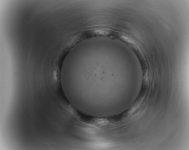 X0000096660424200802121134